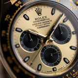 Rolee_x Oyster Perpetual Daytona
